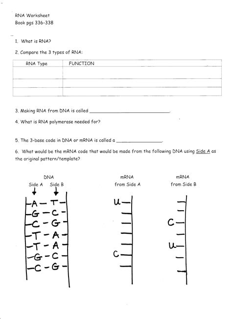 Dr matt & dr mike. Restriction Enzyme Worksheet Answers | Briefencounters