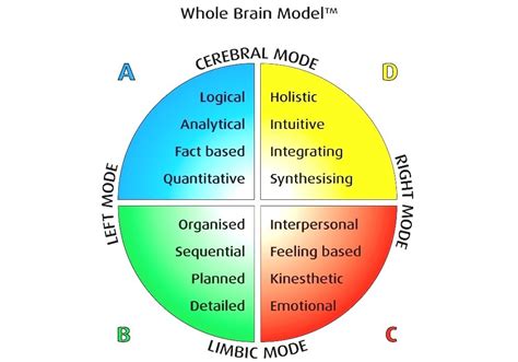 Herrmann Brain Dominance Instrument Whole Brain Learning Theory
