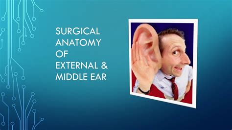 Ppt Surgical Anatomy Of External And Middle Ear Powerpoint Presentation