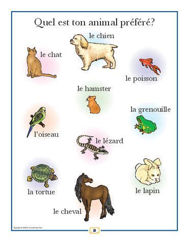 Turn your dog into a tyrant lizard king, and then turn every dog park into their own. French Pets Poster | Language, Pets and Spanish language
