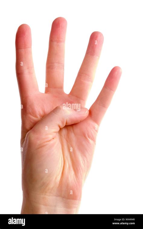 A Female Hand Holding Four Fingers Up With The Fingers Spread Wide