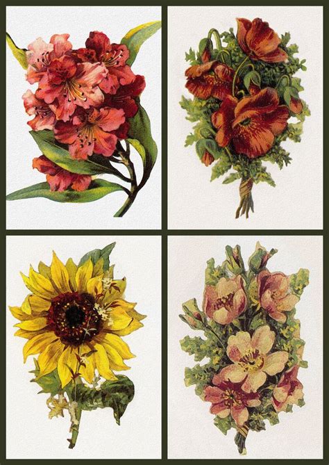 Artbyjean Vintage Clip Art Digital Collage Sheet Flower Prints