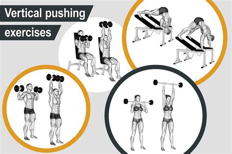 Vertical Pull And Push Exercises Off
