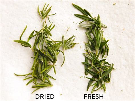 Ensure you pick thyme that is not wilted, dried out, or bruised. Use the Microwave to Dry Your Herbs for Long-Lasting ...