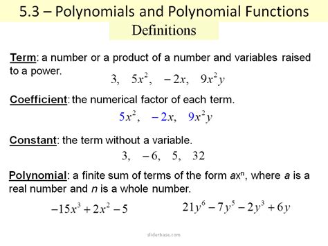 Polynomials And Polynomial Functions Presentation Mathematics
