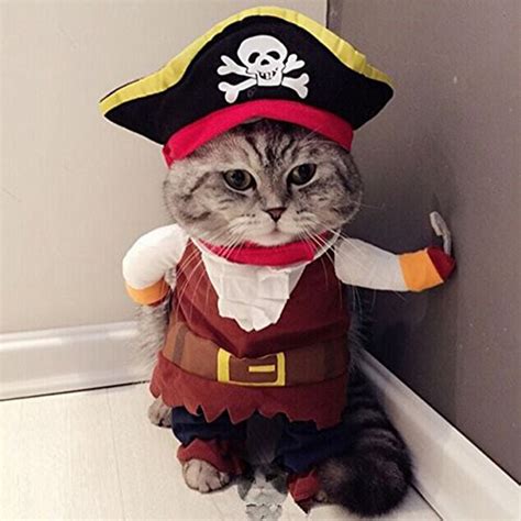 Funny Pet Pirate Corsair Suit Cosplay Costume For Cat