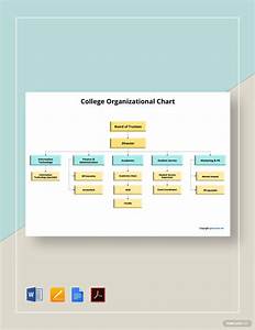 University Organizational Chart Template