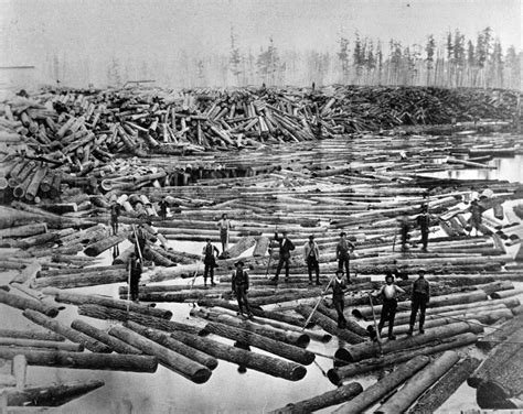 Massive Logging Operation Michigan 1800s Historical Pictures