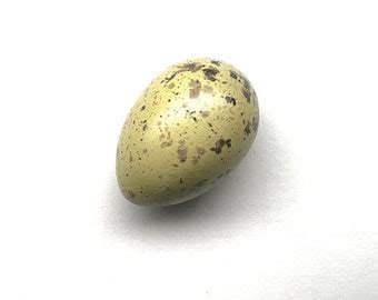 Blue Jay Egg Art Etsy