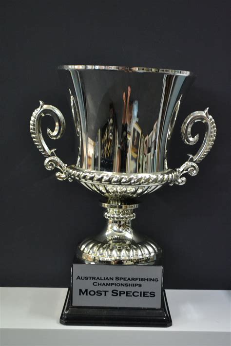 The afca national championship trophy (coaches' trophy) is the trophy awarded by the american football coaches association (afca) to the winner of college football's bcs national championship. Spearfishing Championship Trophies — Australian Underwater ...