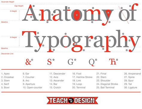 Anatomy Of Typography Anatomy Of Typography Typographic Poster