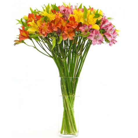 Top 10 most popular wedding flowers. Flowers in Season: October | BridalGuide