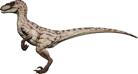 Velociraptor Jurassic Park 3 2001 Femmina By 3383383563 On Deviantart