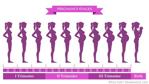 Ten Steps For A Healthy Pregnancy