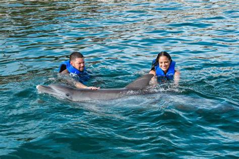 Puerto Plata Ocean World Adventure Park Zwemmen Met Dolfijnen