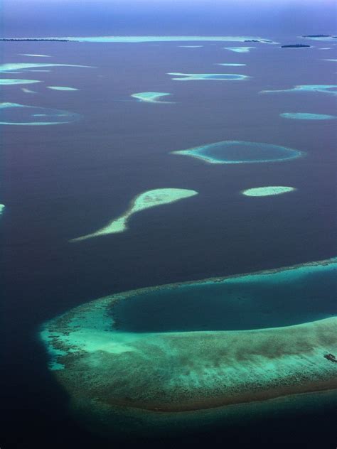 From The Sky From The Sky The Maldives Atoll Coral Reef José