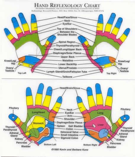 Reflexology Massage Techniques Lots Of Charts Hand Reflexology