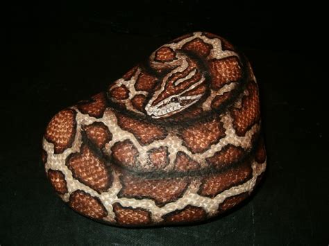 Image Detail For Hand Painted Rock Art Burmese Python Snake By