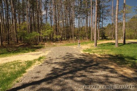 Gilbert lake state park is a great spot to hit when looking for what to do in oneonta. Gilbert Lake State Park Campsite Photos - Site 59 | State ...