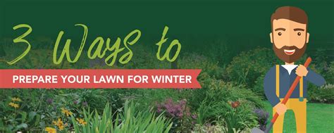 Preparing Your Lawn For Winter And Dormancy Emerald Lawns