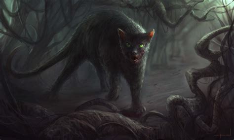 Dark Forest Cats