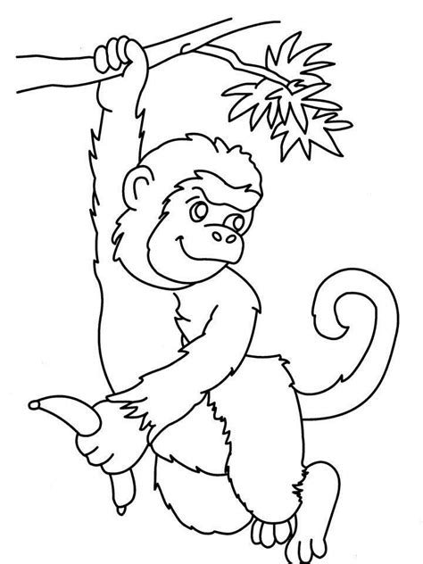 Realistic Monkey Coloring Pages Coloring Home