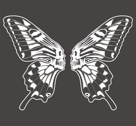 Skull Butterfly 01 Drawing Ai Illustrator File Us500 Each Ai