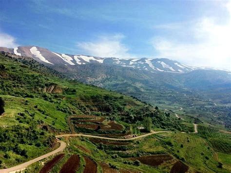 Driving Through The Mountains Of Lebanon