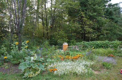 The Backyard Farming Connection Planning A Bee Garden