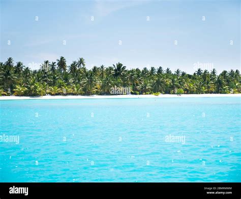 Beautiful Tropical Maldives Island With Palm Trees And Beach With White