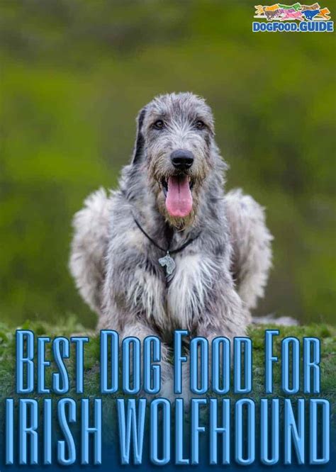 Best Dog Food For Irish Wolfhound In 2022 Top 10 Brands Revealed