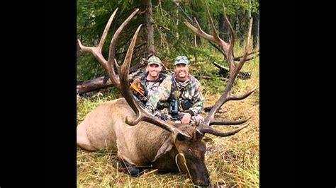 World Record Bull Elk Youtube