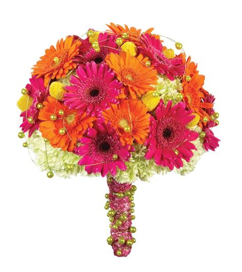 Buy gifts, flowers & food online and read professional reviews on gerber daisy bouquets flowers & plants. December Bride @ 30s: Gerbera Daisies