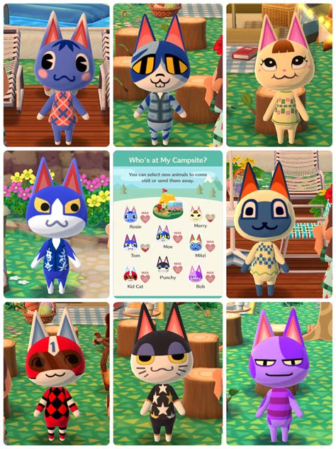 Animal crossing cat villagers are animal inhabitants in the animal crossing series. Welcome to Animal Crossing: Pocket « Kitty » Camp! 🌲🐱🌸 ...