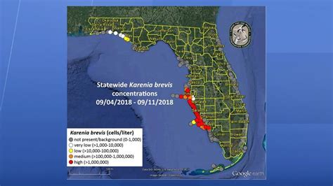 Report Red Tide Found Along 125 Miles Of Fls West Coast