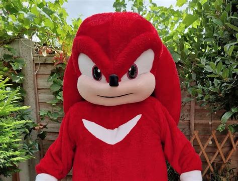 Knuckles The Echidna Mascot Costumes All About Costume Mascot