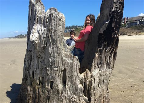 Beachside State Recreation Site Camping | The Dyrt