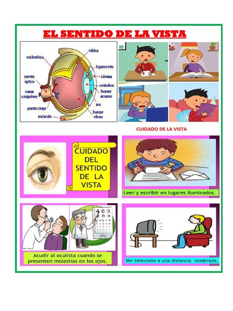 Lunes 24 De Octubre Del 2022 La Vista Y Su Cuidado