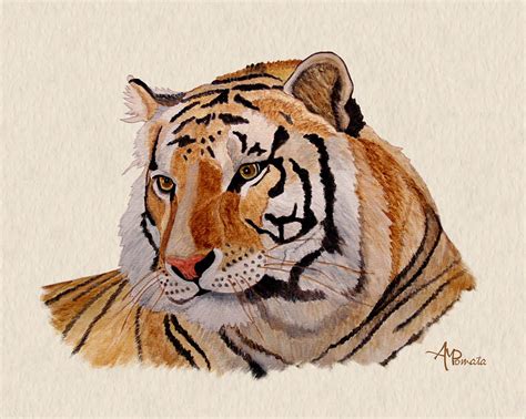 Bengal Tiger Watercolor Painting By Angeles M Pomata Fine Art America