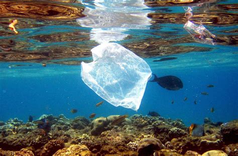 Plastikmüll Im Meer Global Plastic Navigator Zeigt Ausmaß Der Verschmutzung Wissen