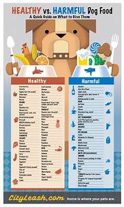 Healthy And Harmful Food For Your Dogs Dog Food Recipes Healthy Dogs