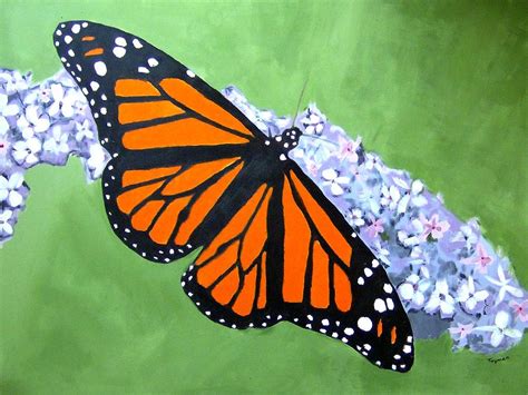 Monarch Butterfly Painting By Dan Twyman Pixels