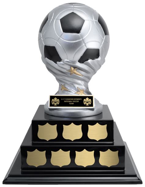 Custom Soccer Trophies For Tournaments And Championships