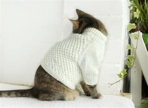 15 cat sweater knitting patterns knitting news