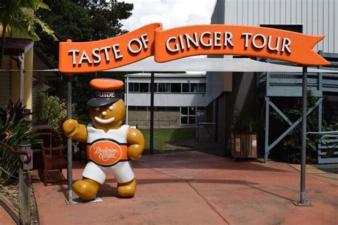 The Ginger Factory Tours And Tickets Book Today