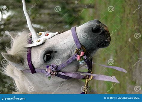 Unicorn Pony Royalty Free Stock Images Image 934479