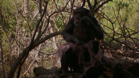 Summer Of The Monkeys 1998 — The Movie Database Tmdb