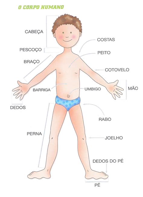 Actividades para as Crianças Corpo Humano I