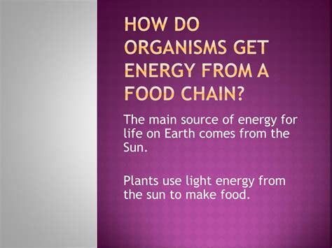 Ppt How Do Organisms Get Energy From A Food Chain Powerpoint
