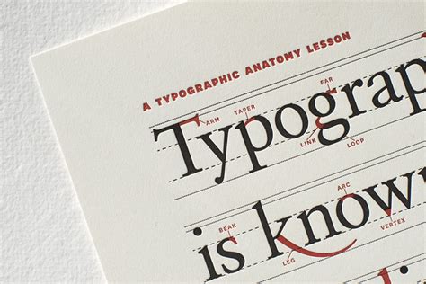 A Typographic Anatomy Lesson Flickr Photo Sharing
